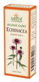 Echinacea