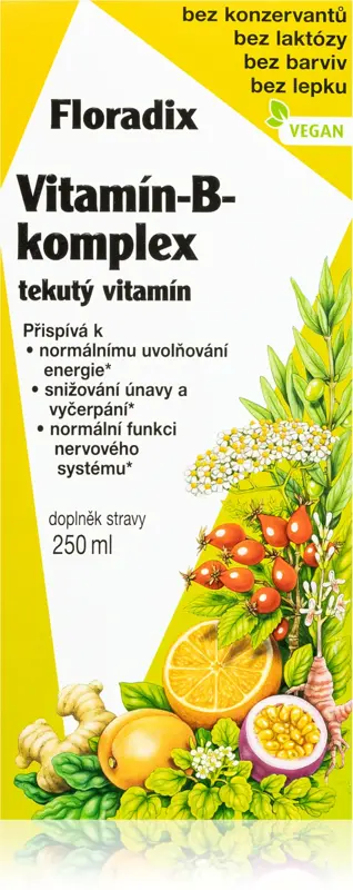 Salus Floradix Vitamín-B-komplex Salus Floradix Vitamín-B-komplex