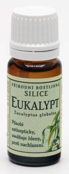 Eukalyptus