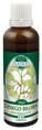 P20 Ginkgo dvojlaločné 50ml